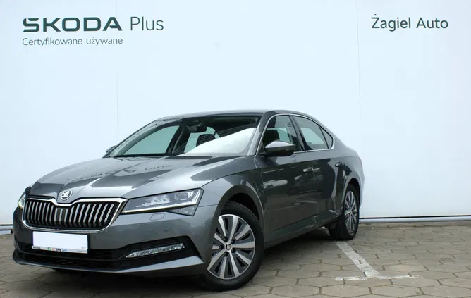 łódzkie Skoda Superb cena 128900 przebieg: 35366, rok produkcji 2022 z Ostrzeszów